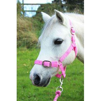 Gallop Headcollar &amp; Lead Rope Set Pink