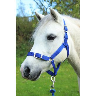 Gallop Headcollar &amp; Lead Rope Set Royal Blue