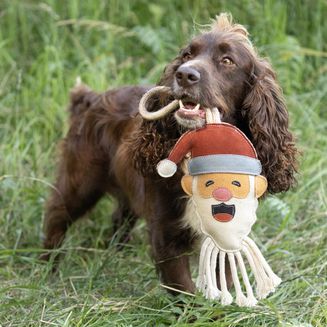 Benji &amp; Flo Christmas Dog Toys