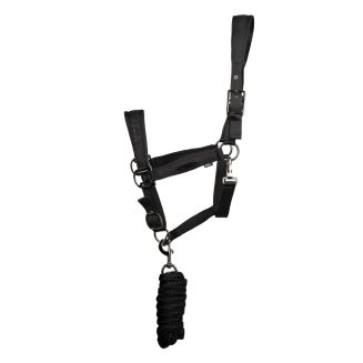 Coldstream Paxton Padded Head Collar &amp; Lead Rope