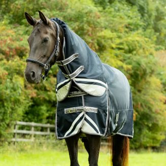 DefenceX Shield 200g Turnout Rug with Detachable Neck