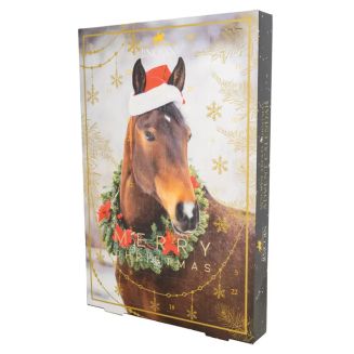 Lincoln Mince Pie Treats Christmas Advent Calendar