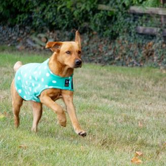 Supreme Products Dotty Fleece Dog Coat