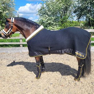 Supreme Products Royal Occasion Towel Rug