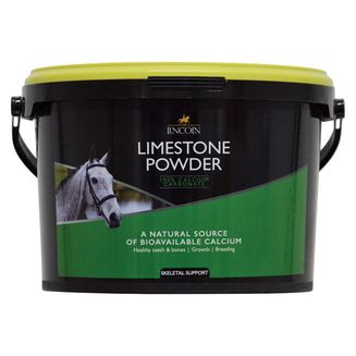 Lincoln Limestone Powder Refill Pouch