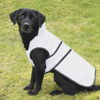 Benji &amp; Flo Silva Reflective Dog Coat