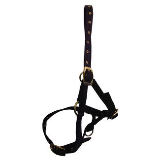 Hy Equestrian Foal Head Collar - One Size