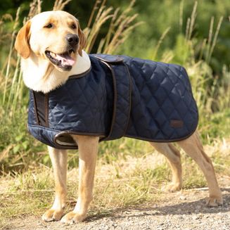 Benji &amp; Flo Teddy Quilted Dog Coat