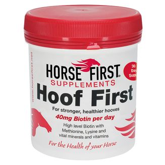 Horse First Hoof First