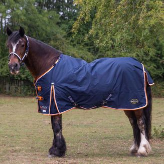 Gallop Trojan Duraproof 100g Turnout Turnout Rug Navy
