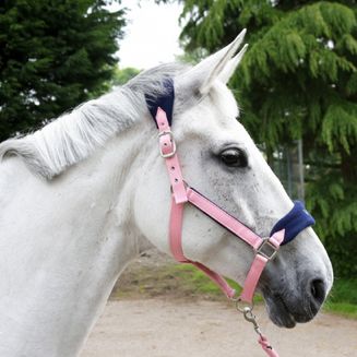 Whitaker Hc160 Club Headcollar &amp; Lead Rope Set Pink