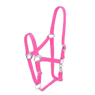 Firefoot Economy Adjustable Headcollar Pink