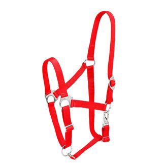 Firefoot Economy Adjustable Headcollar Red