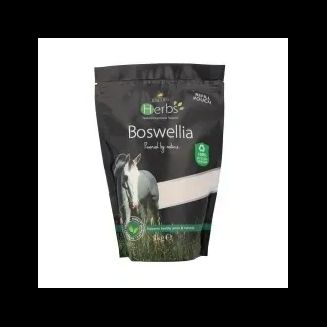 Lincoln Herbs Boswellia Refill Pouch