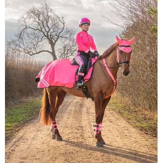 Reflector Thelwell Collection Tabard by Hy Equestrian