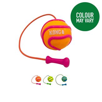 Kong Bunji High-Viz Ball Dog Toy Assorted