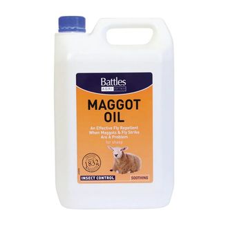 Battles Maggot Oil