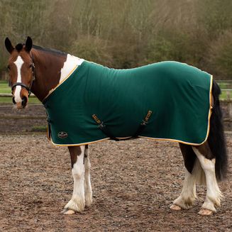 Gallop Ponie Tiddlywinks Jersey Cooler Rug Green/Wht/Yellow Green/White/Yellow