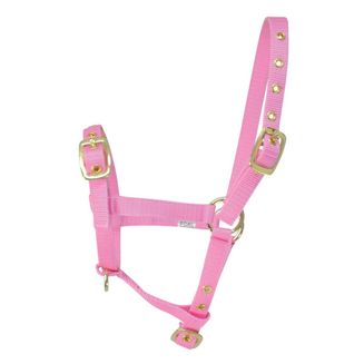 Hy Equestrian Foal Headcollar Pink
