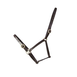 Hy Equestrian Leather Foal Headcollar Brown