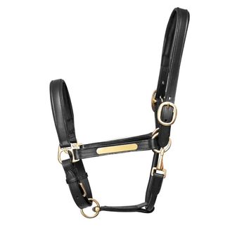 Hy Equestrian Leather Headcollar Black