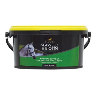 Lincoln Seaweed &amp; Biotin