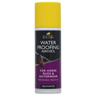 Lincoln Waterproofing Aerosol