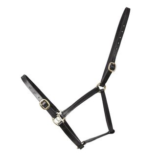 Hy Equestrian Leather Foal Headcollar Black