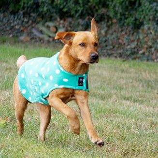 Supreme Products Dotty Fleece Dog Coat Gorgeous Green