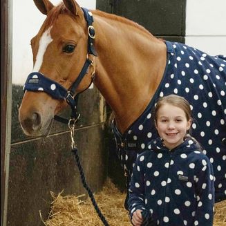 Supreme Products Dotty Fleece Headcollar/Lead Rope Navy Noble Navy