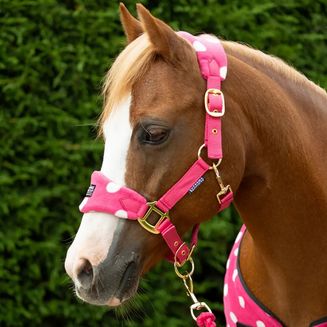 Supreme Products Dotty Fleece Headcollar/Lead Rope Pink Paradise Pink