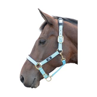 Hy Deluxe Padded Head Collar - Bright Blue