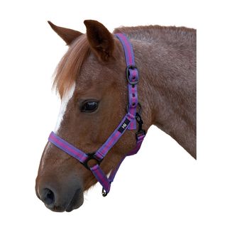 Hy Duo Head Collar - Pink/Purple