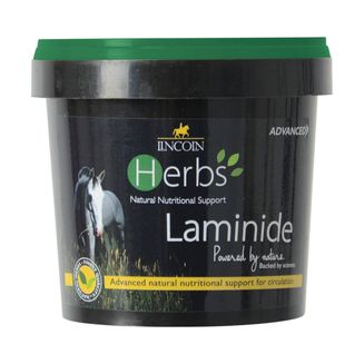 Lincoln Herbs Laminide - 600g