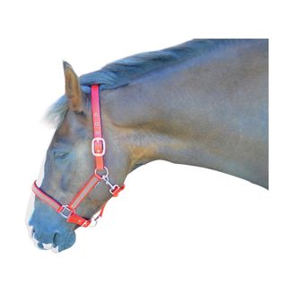 Hy Diamante Head Collar - Pink/Diamante