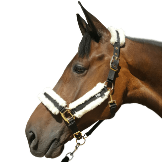 Hy Faux Sheepskin Head Collar - Black/Cream