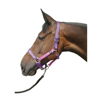 Hy Metallic Look Head Collar - Purple/Bright Pink