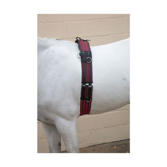 Hy Training Roller - Blue/Red