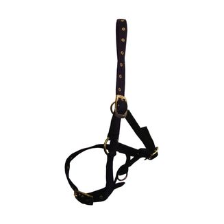Hy Foal Head Collar - One Size