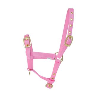 Hy Foal Head Collar - Pink - One Size