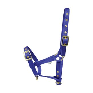 Hy Foal Head Collar - Blue - One Size