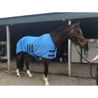 Equi Cool Down Deluxe Body Wrap - Blue - One Size