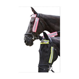 HyVIZ Bridle Set - 3 pieces