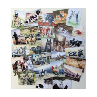 Caroline Cook Equestrian and Countryside Cards - Multi Pack of 60
