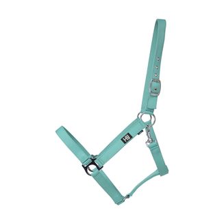 Hy Economy Plus Head Collar - Teal