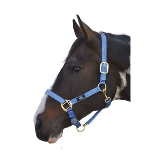Hy Head Collar - Blue