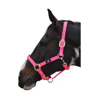 Hy Equestrian Grand Prix Head Collar - Hot Pink