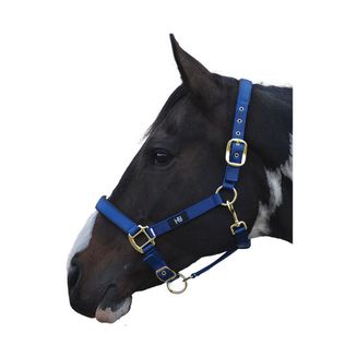 Hy Equestrian Grand Prix Head Collar - Navy