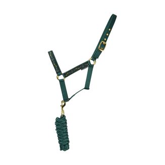 Hy Equestrian Elegant Stirrup and Bit Head Collar and Lead Rope - Forest Green/Gold/Silver
