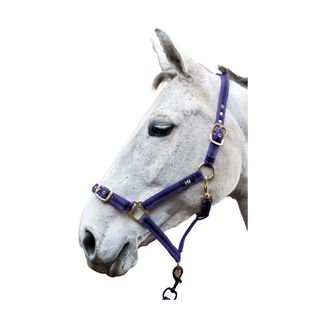 Hy Soft Webbing Head Collar - Purple/Black - Full